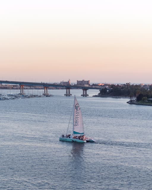 Aerial view of the harbor, the bridge and boats at San Diego Marina, with boats out.