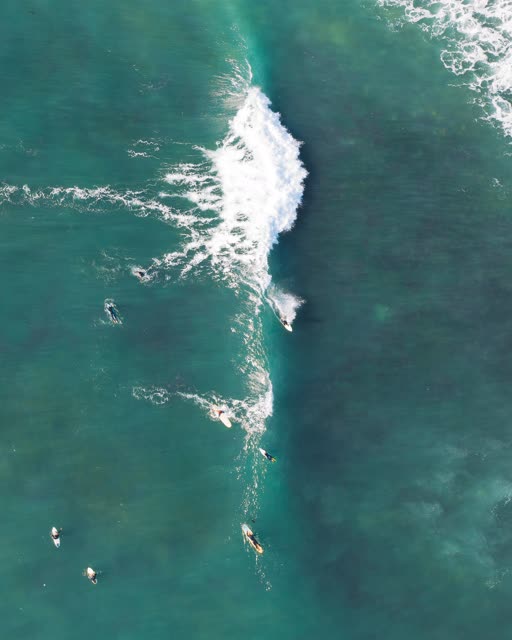 Aerial view of the beach, the surf and the ocean at Swamis, with surfers out.