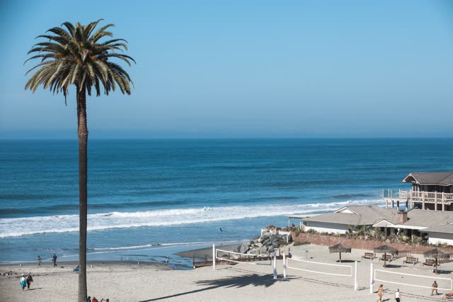 Elevated view of the beach, the surf and palm trees at Moonlight Beach, with people walking.