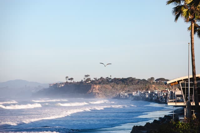 The beach, the surf and wildlife in Del Mar.