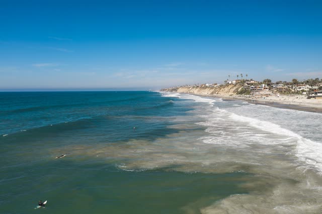 Aerial view of the beach, the surf and palm trees in Encinitas, with surfers out.