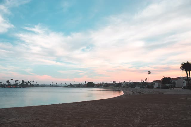 The beach, palm trees and the bay in Mission Bay.