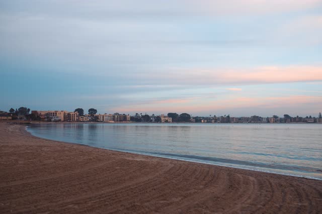 The beach, palm trees and the bay in Mission Bay.