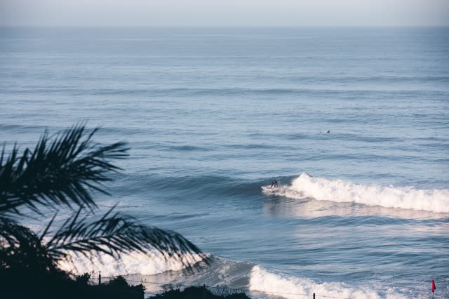 Surfers in Del Mar in front of Powerhouse Park and Beach | Photo – 1