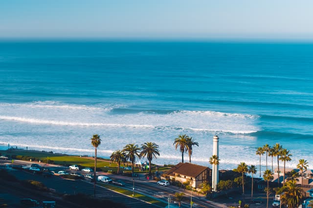 Aerial view of the beach, the surf and palm trees in Del Mar.