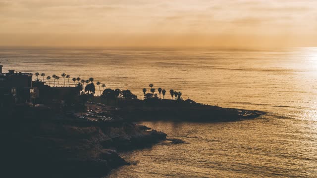 Aerial view of the cliffs, palm trees and the ocean at La Jolla Cove.