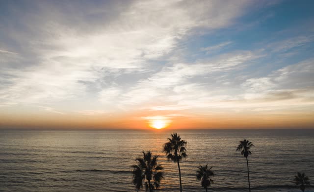 Elevated view of the beach, palm trees and the ocean at Moonlight Beach.