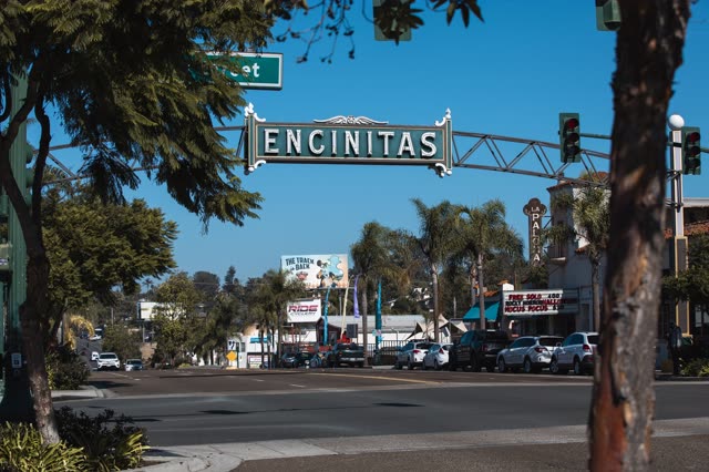 The downtown streets, palm trees and the buildings at Downtown Encinitas.