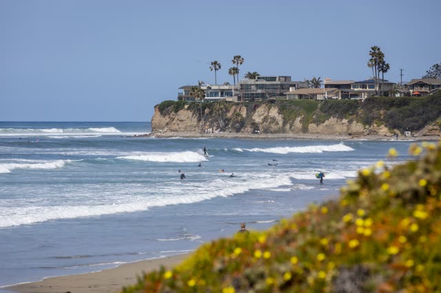 The beach, the surf and palm trees in Pacific Beach, with surfers out.