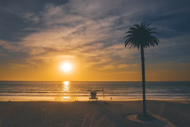 The beach, the surf and palm trees at Moonlight Beach, with people walking.