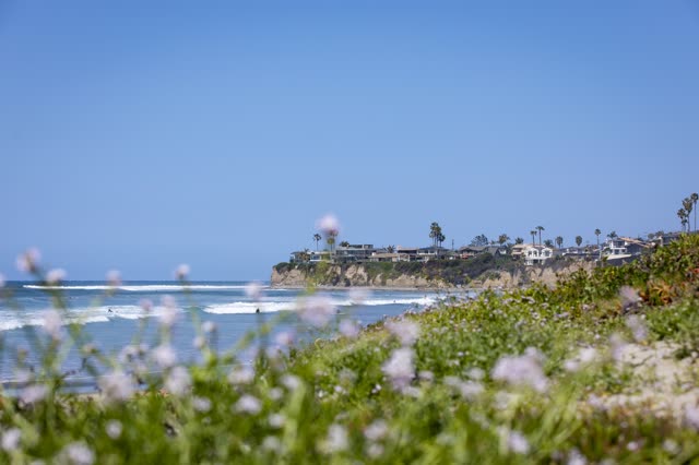 Elevated view of the cliffs, the surf and palm trees in Pacific Beach, with surfers out.