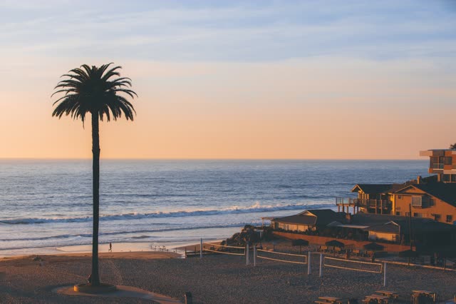 Elevated view of the beach, the surf and palm trees at Moonlight Beach, with people walking.