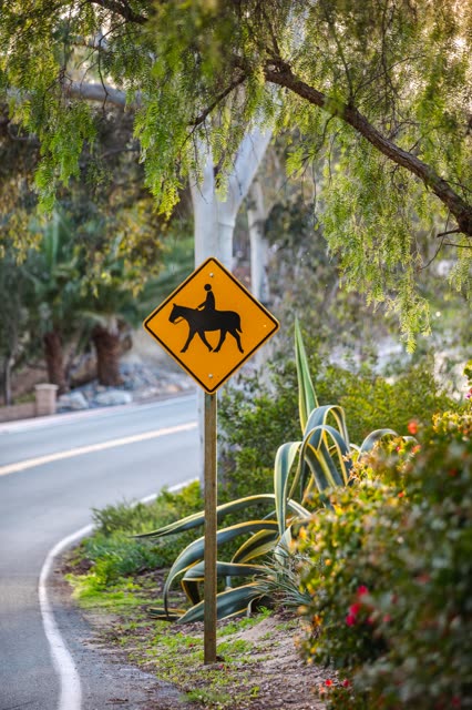 Horse crossing sign on streets of Rancho Santa Fe Covenant | Photo – 1