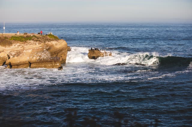 Elevated view of the cliffs, the surf and wildlife at La Jolla Cove.