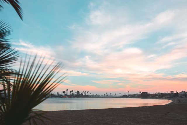 The beach, palm trees and the bay in Mission Bay.