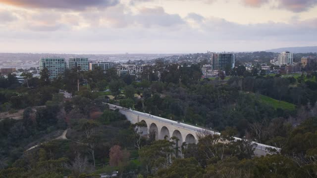 Aerial view of a park, the bridge and the skyline in Balboa Park.