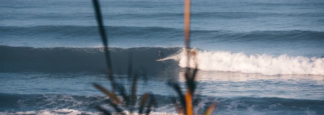 The beach, the surf and the ocean in Del Mar, with surfers out.