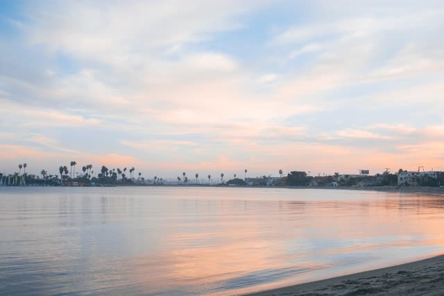 The beach, palm trees and the bay in Mission Bay.