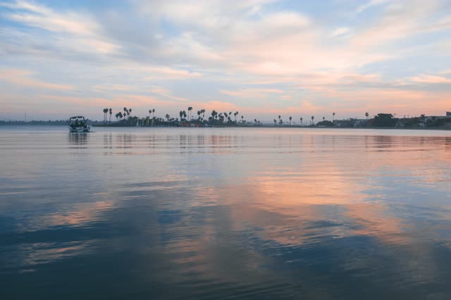 View from the water of the beach, boats and palm trees in Mission Bay, with boats out.