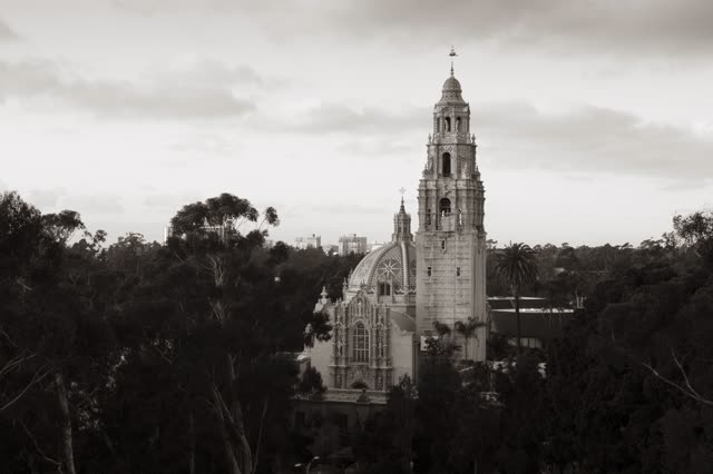 A park, palm trees and the buildings in Balboa Park.