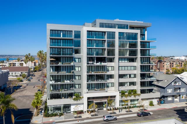 Low aerial view of a residential street, palm trees and the bay at Bankers Hill.