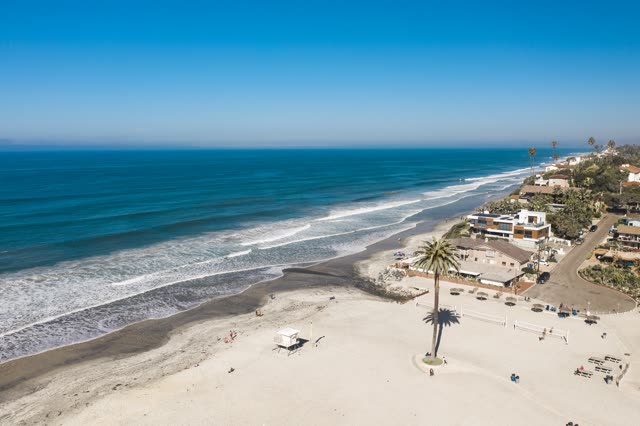 Aerial view of the beach, the surf and palm trees at Moonlight Beach, with people walking.