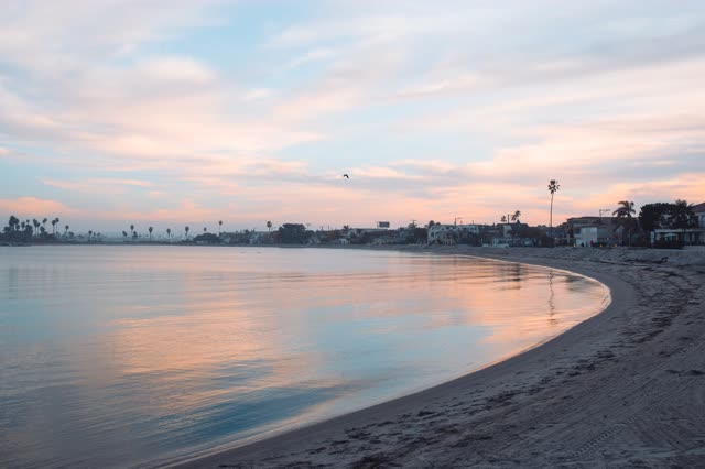 The beach, palm trees and the bay in Mission Bay.