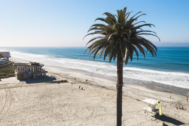 Elevated view of the beach, the surf and palm trees at Moonlight Beach, with people walking.