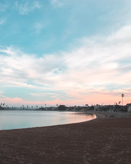 The beach, palm trees and the bay in Mission Bay.