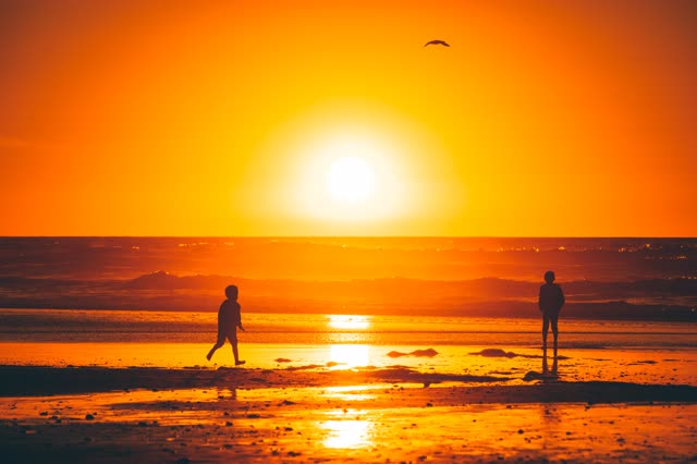 The beach, the surf and wildlife in Del Mar, with people walking.