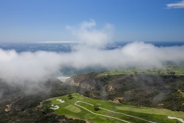 Aerial view of the cliffs, the ocean and open country at Torrey Pines.