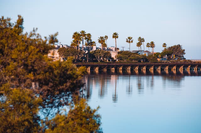 A residential street, the bridge and palm trees in Del Mar.