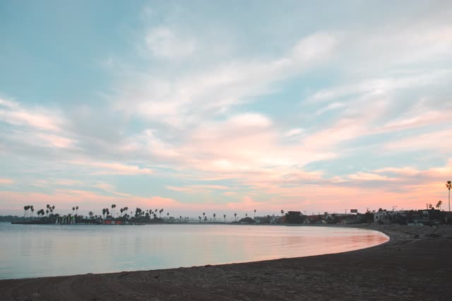 The beach, palm trees and the bay in Mission Bay.