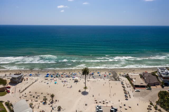 Aerial view of the beach, the surf and palm trees at Moonlight Beach, with people walking.