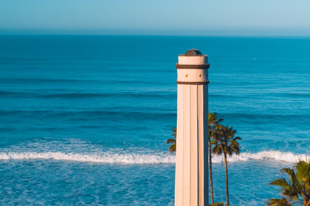 Elevated view of the beach, the surf and palm trees in Del Mar.