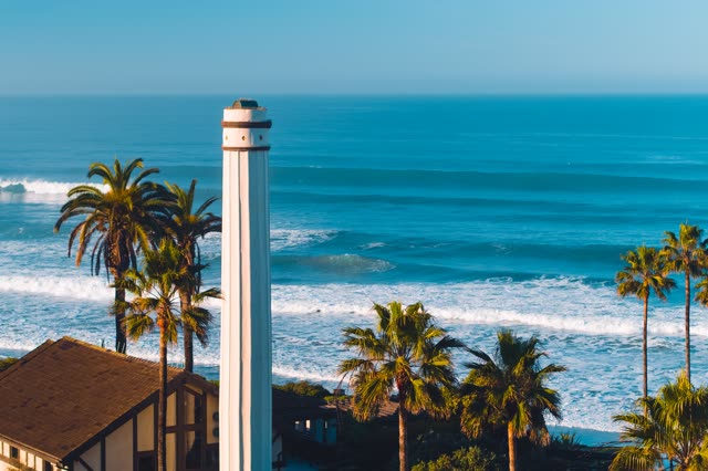 Elevated view of the beach, the surf and palm trees in Del Mar.