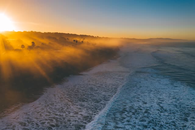 Aerial view of the cliffs, the surf and palm trees in Del Mar.
