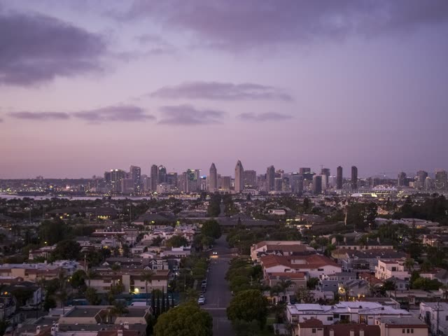 Aerial view of a residential street, the skyline and palm trees at Coronado Bridge.