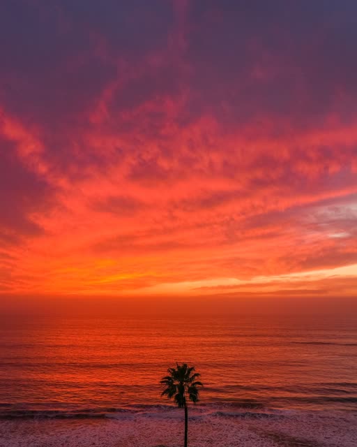 Low aerial view of the beach, palm trees and the ocean in Solana Beach.