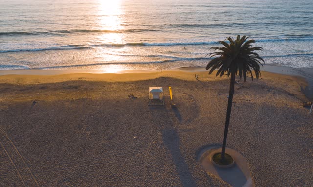 Low aerial view of the beach, the surf and palm trees at Moonlight Beach, with people walking.