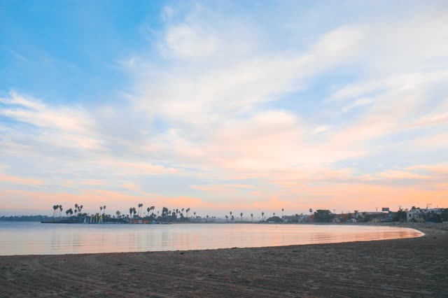 The beach, palm trees and the bay in Mission Bay.