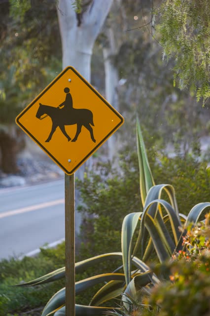 Close view of a residential street, traffic and open country at Covenant.