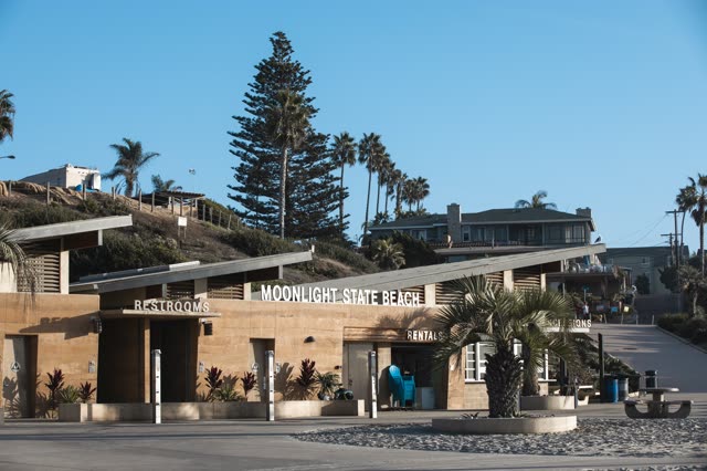 The beach, palm trees and homes at Moonlight Beach.