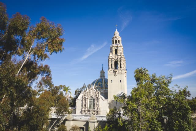 A park, palm trees and the buildings in Balboa Park.