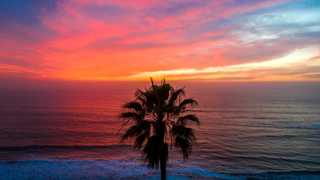 Low aerial view of the beach, the surf and palm trees in Solana Beach.