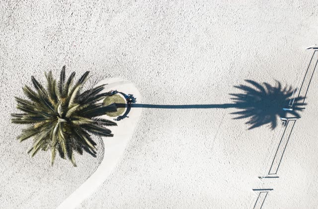 Aerial view of the beach, palm trees and open country at Moonlight Beach, with people walking.