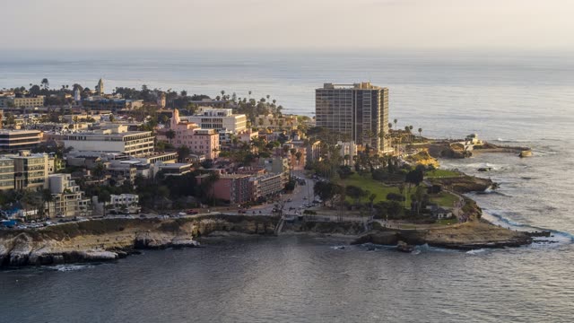Aerial view of the cliffs, palm trees and the ocean at La Jolla Cove.