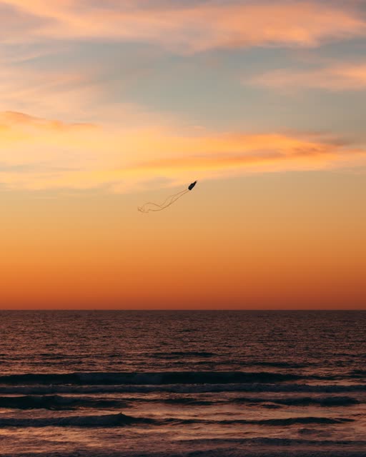 The beach, the surf and the ocean in Del Mar.