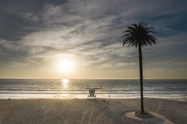 The beach, the surf and palm trees at Moonlight Beach, with people walking.