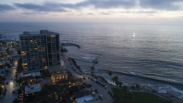 Aerial view of the beach, palm trees and the ocean at La Jolla Cove.